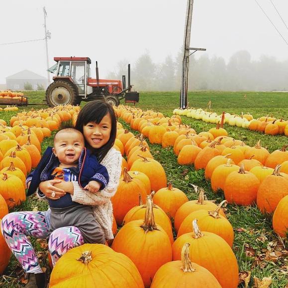 Meet your Posher, Freda - Picture 1 of 1